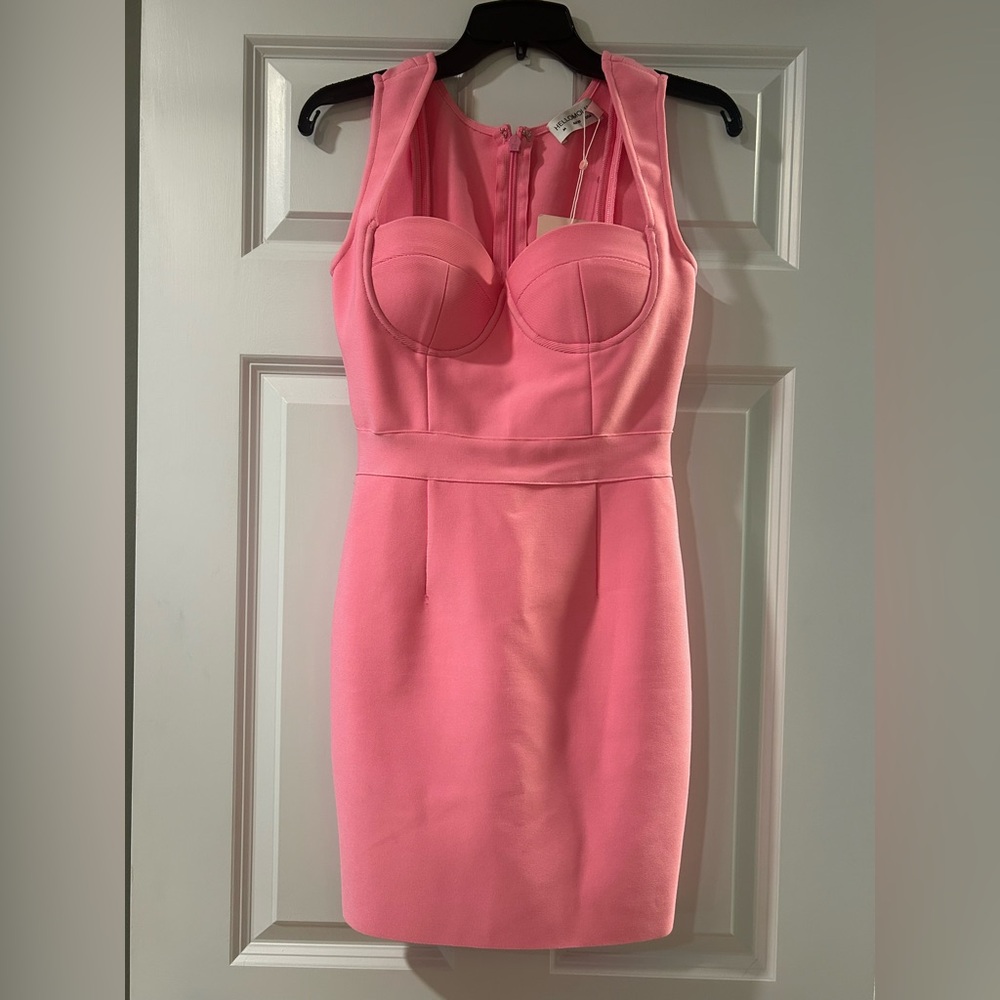 Hello Molly Pink Fitted Mini Dress